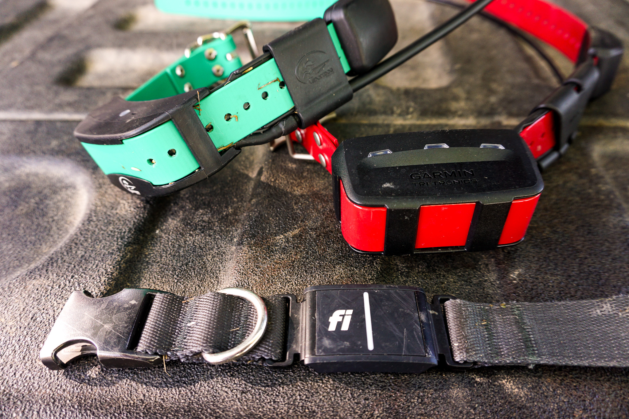 Best GPS Dog Collars of 2023 Outdoor Life