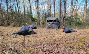 Best Turkey Blinds of 2025 | Outdoor Life