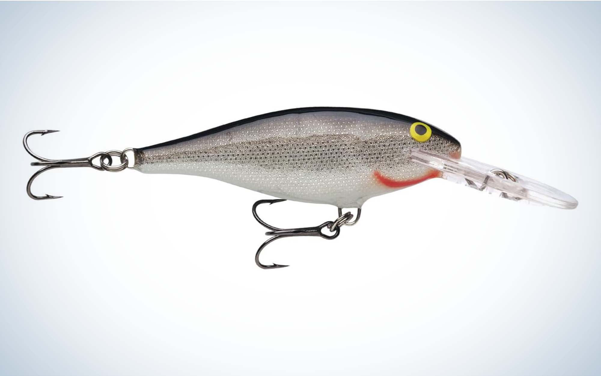 Top 5 spring bass fishing baits