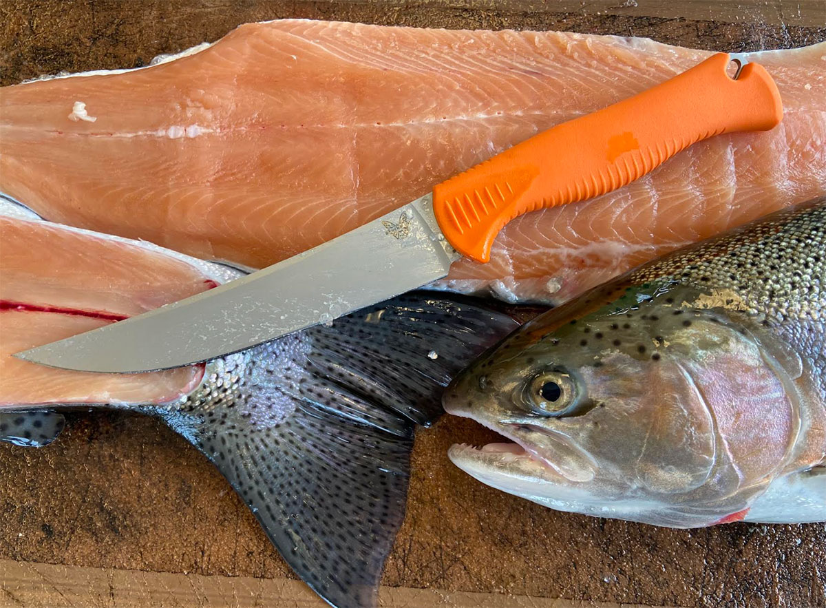 How to fillet a fish