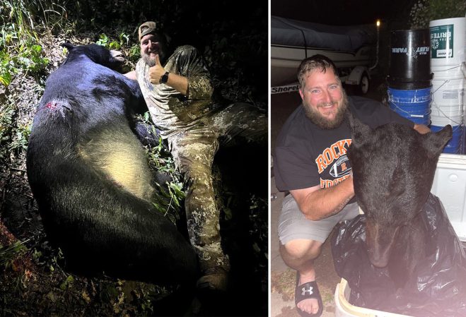 Bowhunter Officially Ties Wisconsin State Record for Largest Black Bear