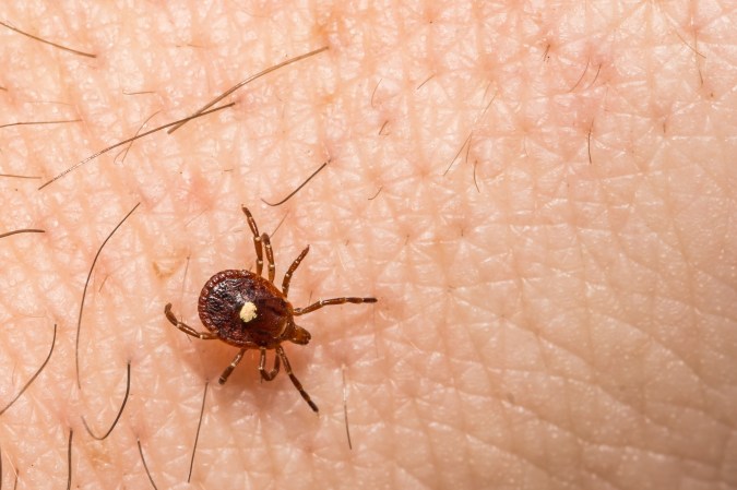 Tick-Borne Alpha-Gal Syndrome Might Be More Widespread than We Realized