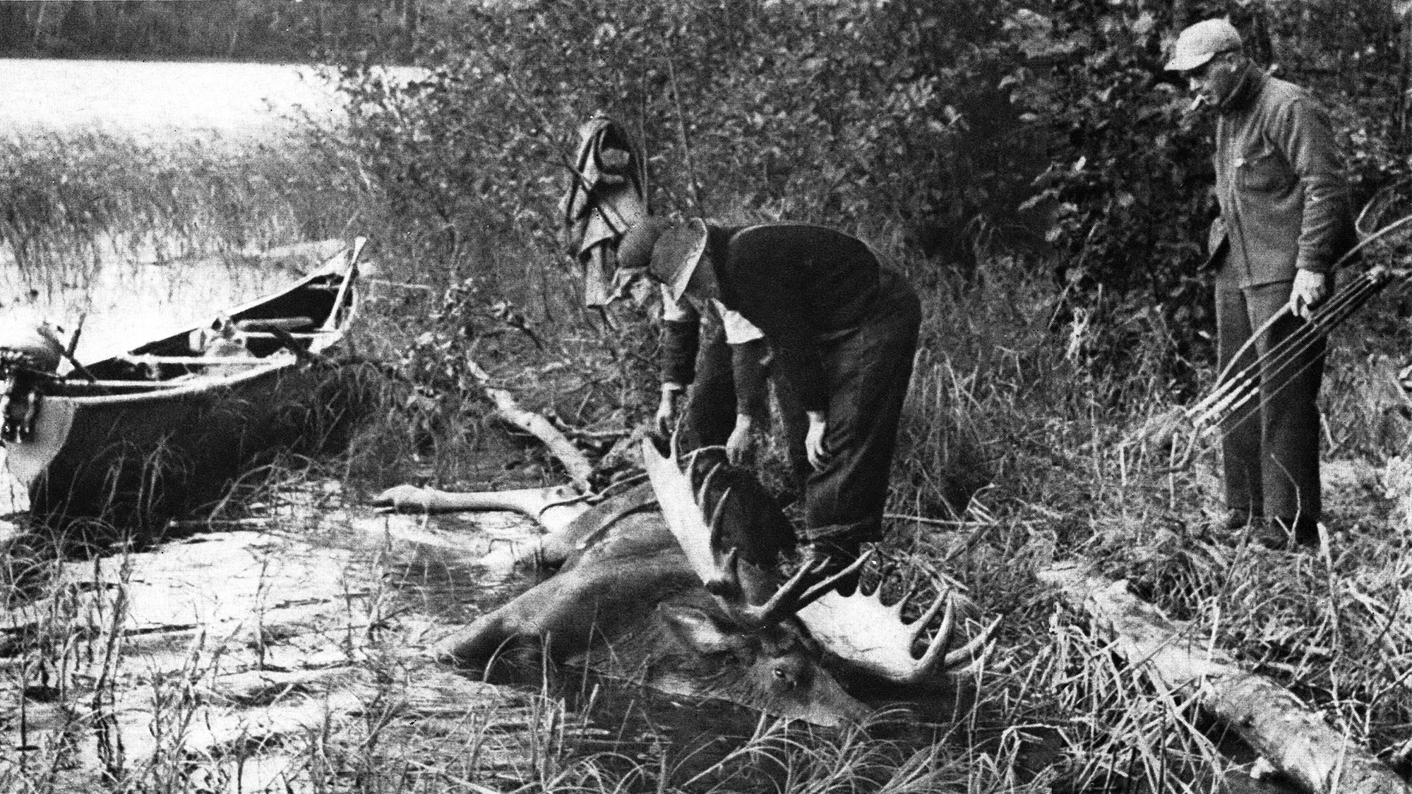 two hunters inspect a moose, while the third stands back holding his bow and arrows, vintage B&W magazine photograph