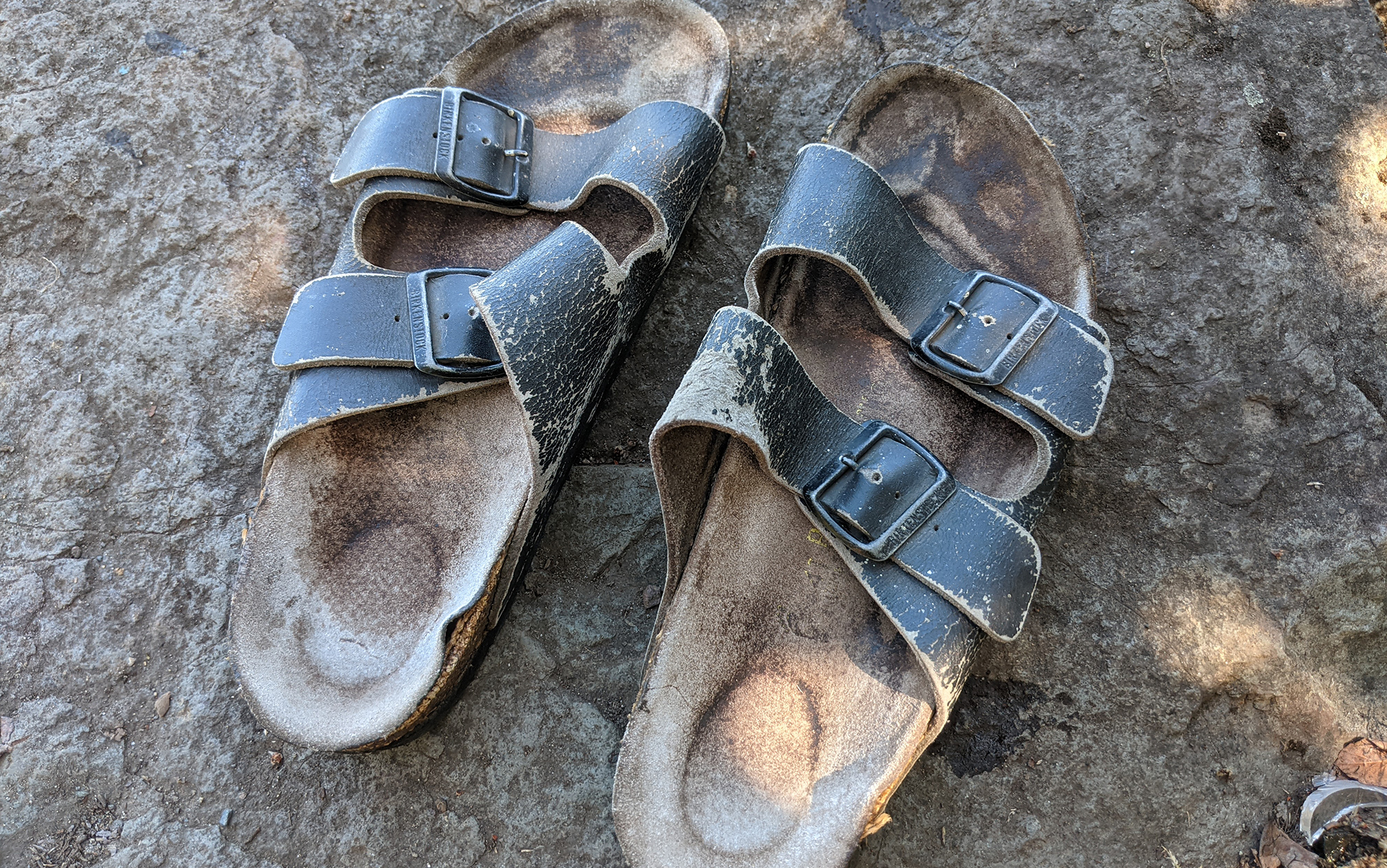 Have these Birkenstocks seen better days? Sure, but as the oldest shoe in my closet by more than 15 years, they deserve some respect.