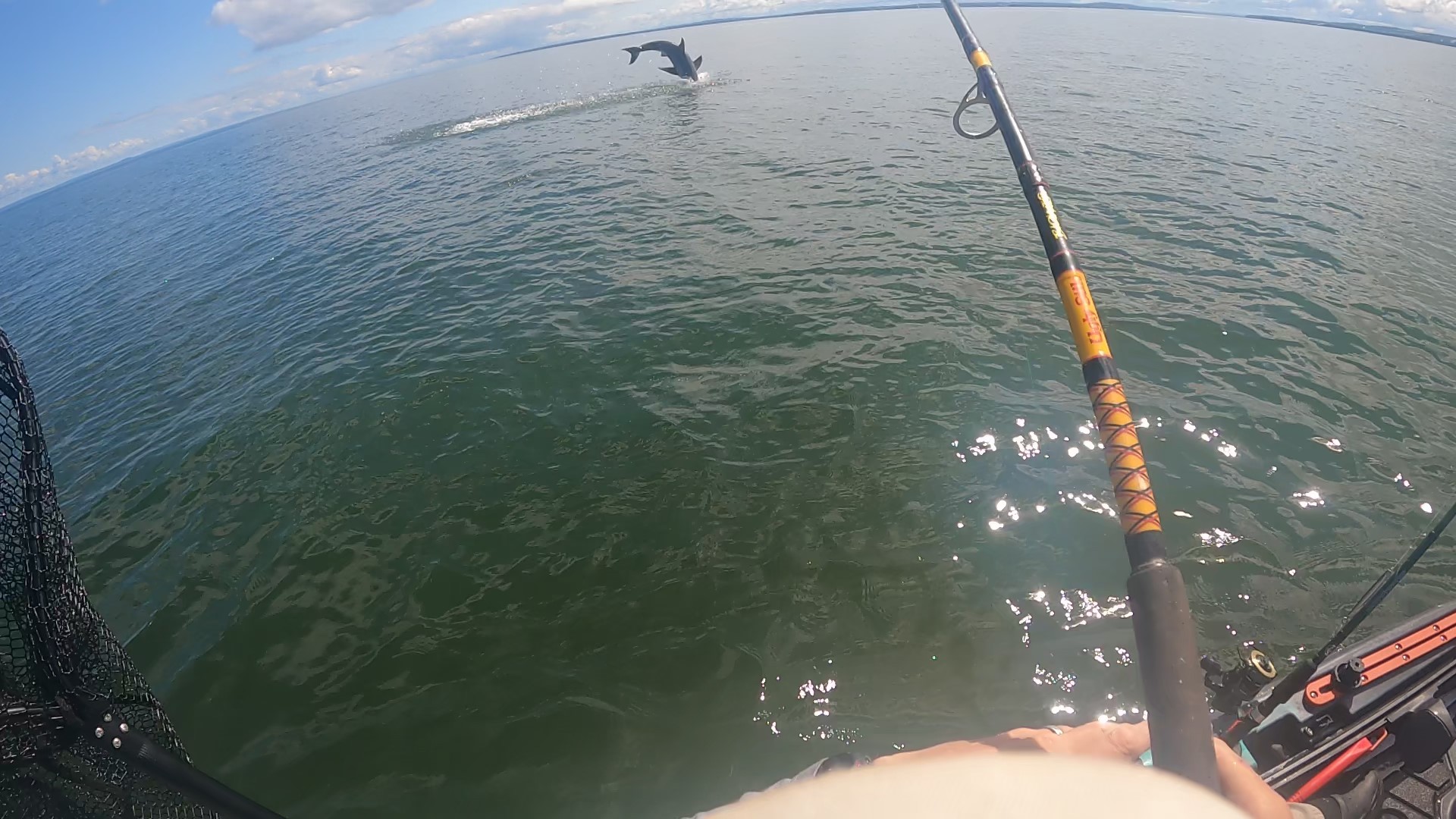 video canadian bass angler great white shark kayak