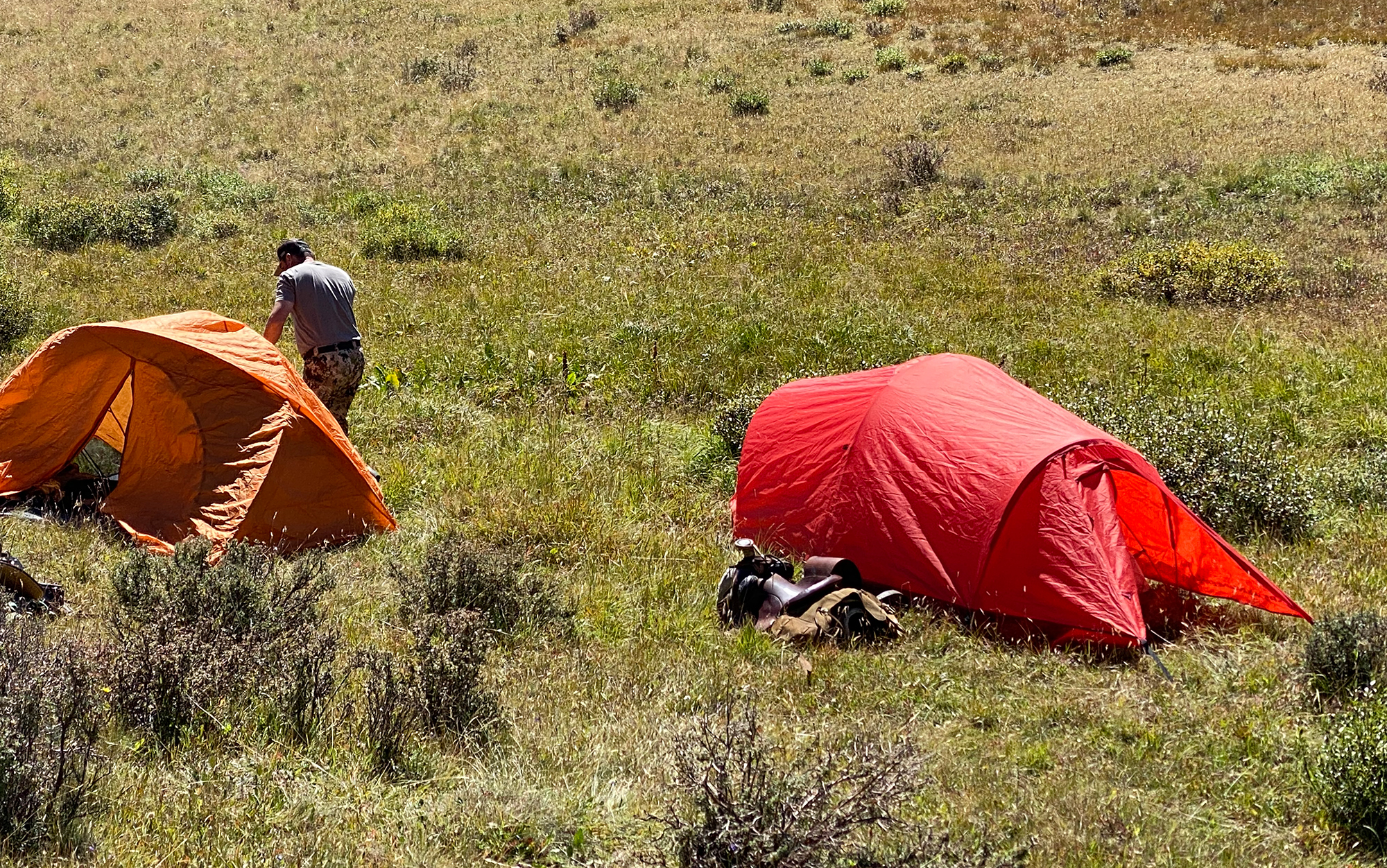 The Alps Mountaineering Tasmanian 2-Person tent sits in a field.