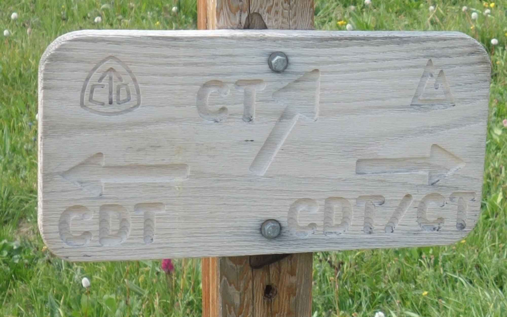 The signed intersection of the Colorado Trail (CT) and the Continental Divide Trail (CDT).