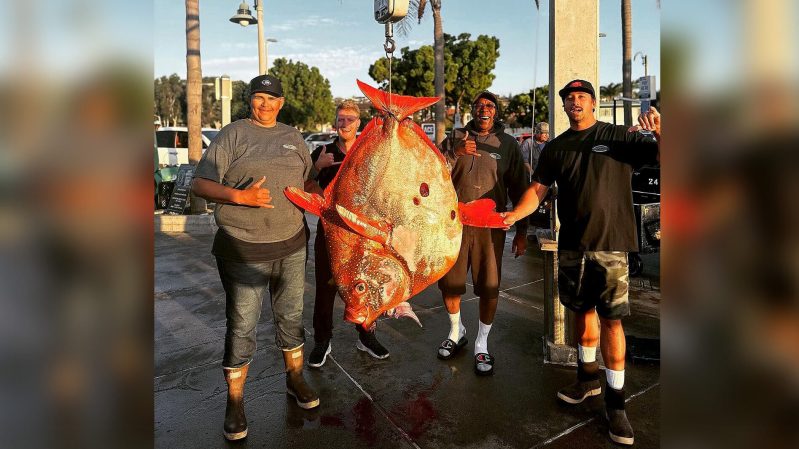Rookie Angler Catches Likely World-Record Moonfish. “It’s Kinda Like a Unicorn”