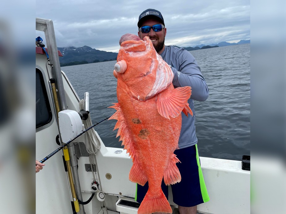 Fish Rook Shark Eats What Could Have Been the New World-Record Red Snapper ...