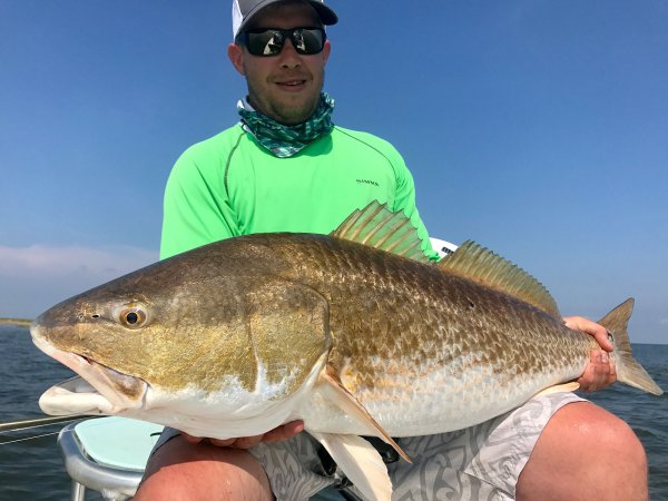 Can Redfish Stocking Save Declining Populations in Louisiana?