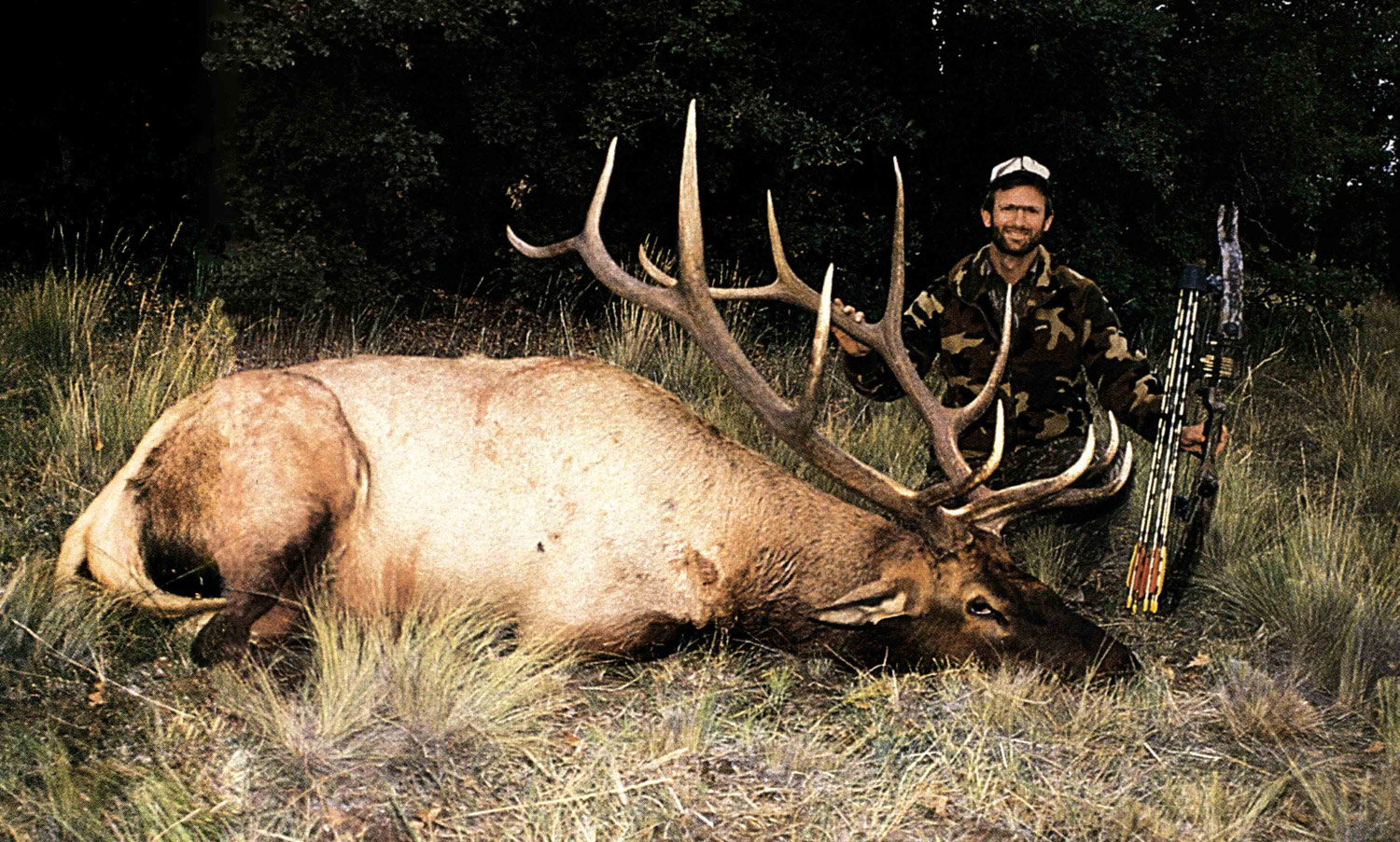 hunter holding compound bow poses behind very large elk