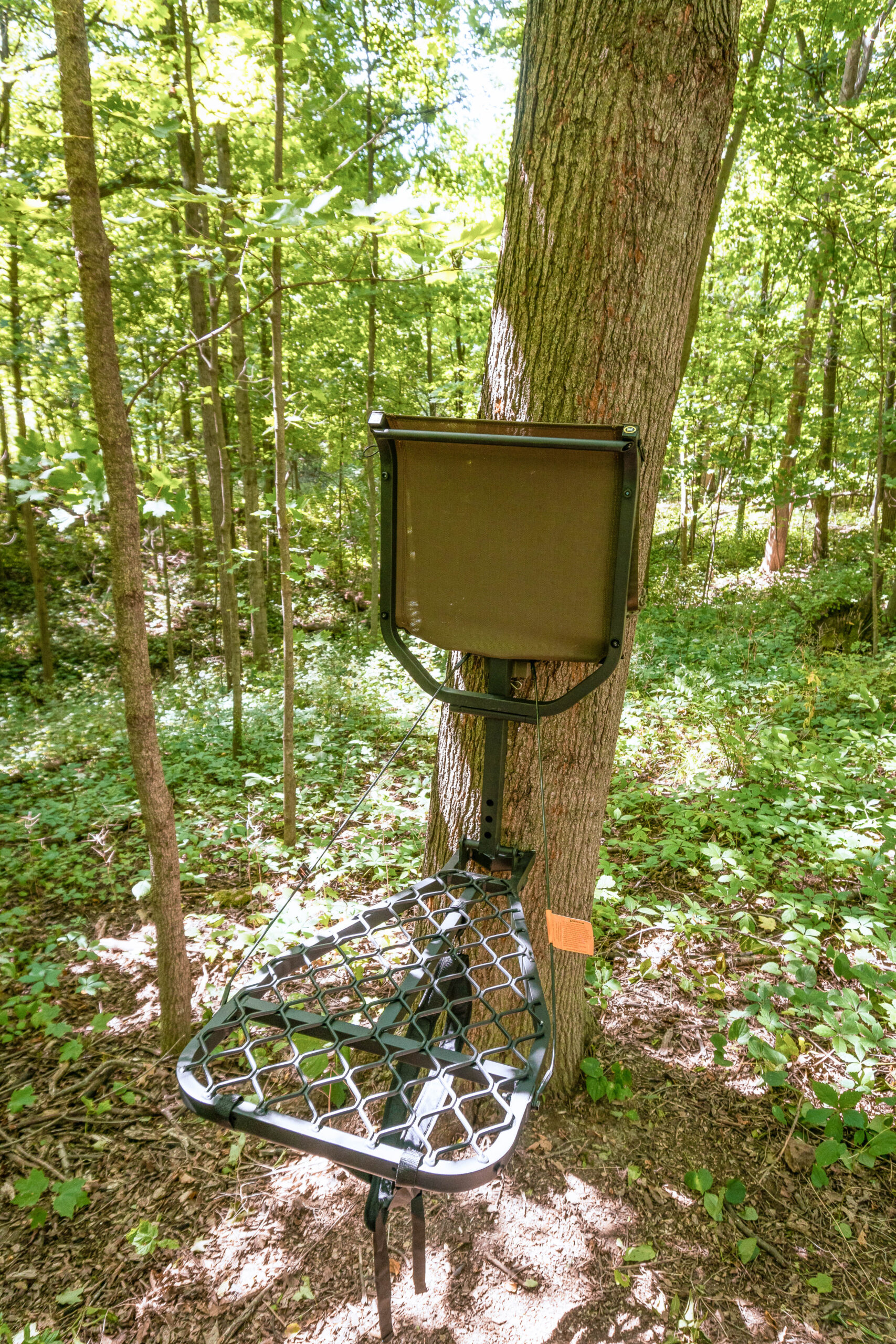Best Tree Stands of 2023, Tested and Reviewed Outdoor Life