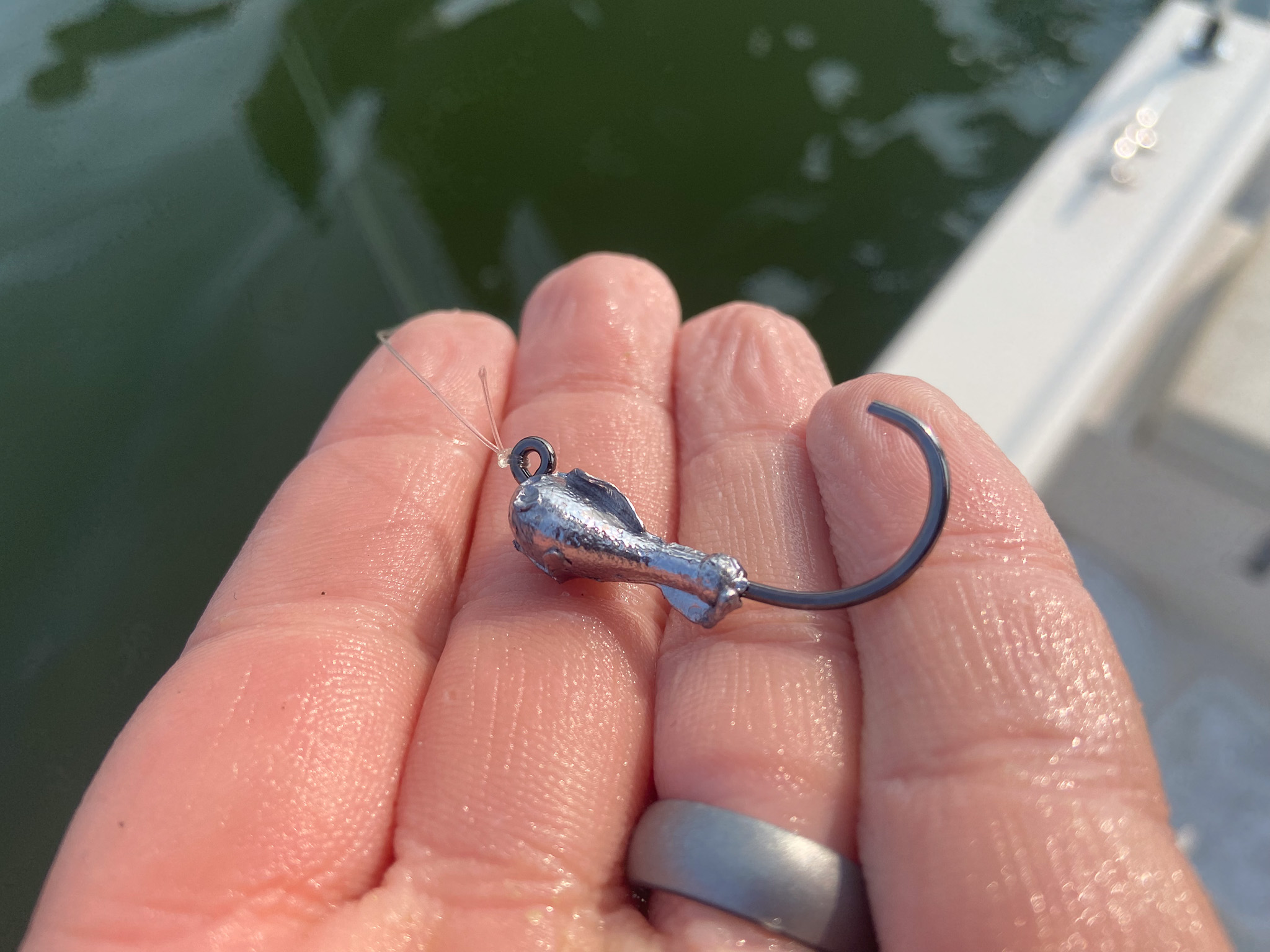 A hook snapped in half from the bite of a sheepshead.