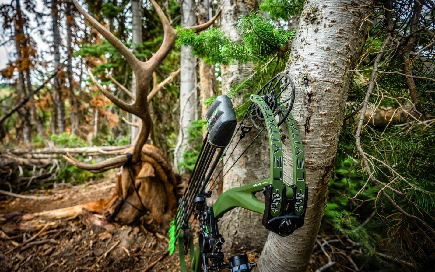 The Best Broadheads for Elk of 2024 Outdoor Life