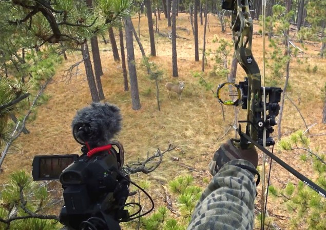 The Best Cameras for Filming Hunts of 2024