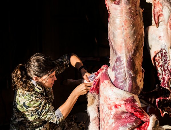 How to Skin a Deer, Step by Step