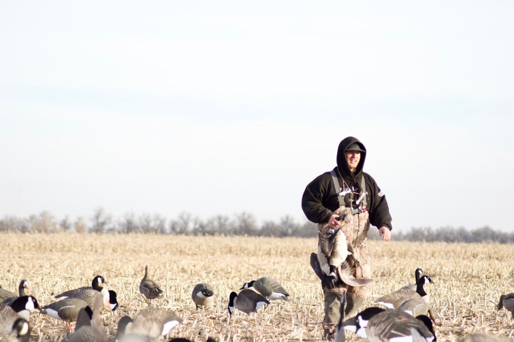 Goose Snatching Goose Hunting Tips and Tactics | Outdoor Life