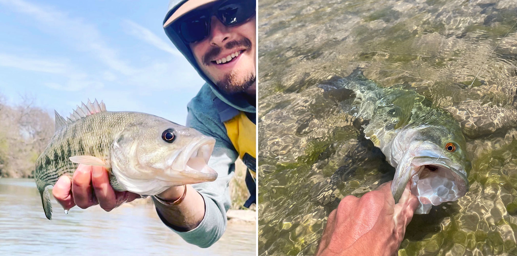 Best Fly Rods for Bass, Tested and Reviewed Outdoor Life