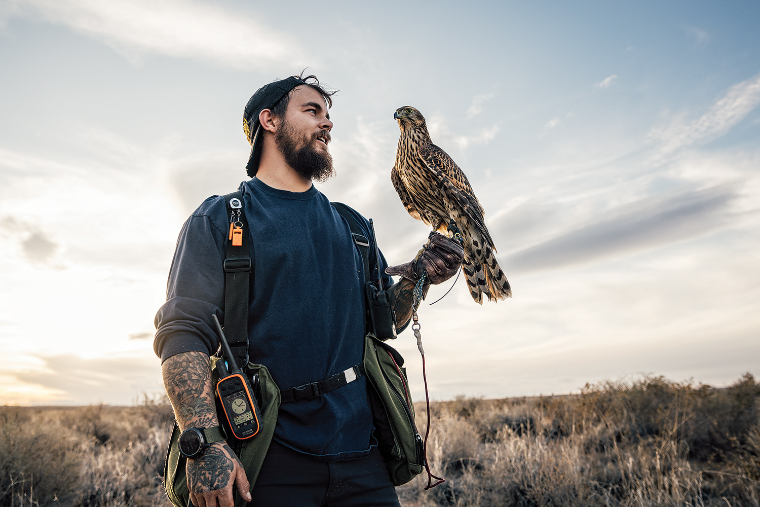 falconer with goshawk on hand
