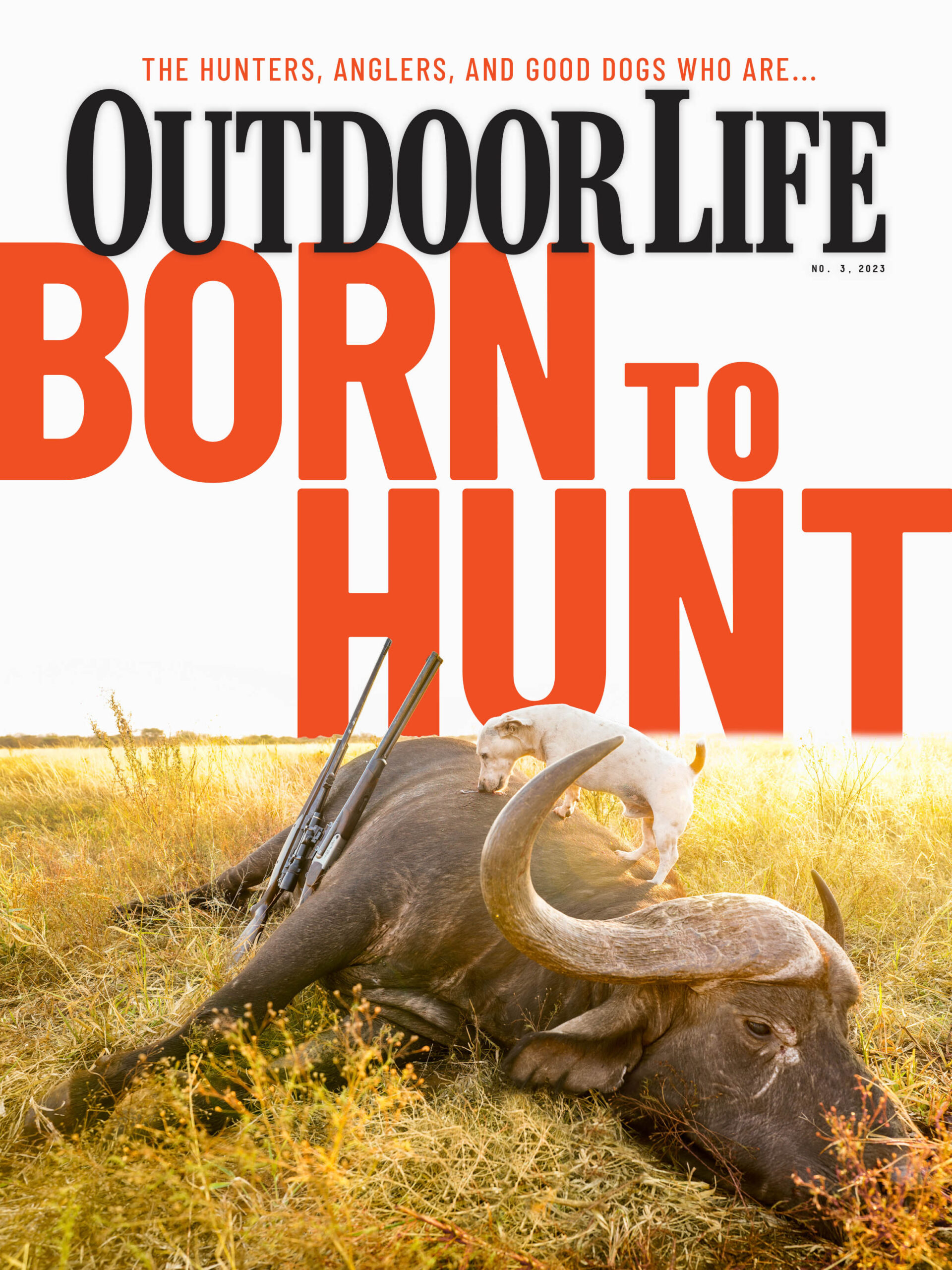 Born to Hunt Issue No. 3 2023 of Outdoor Life with a dog on a cape buffalo