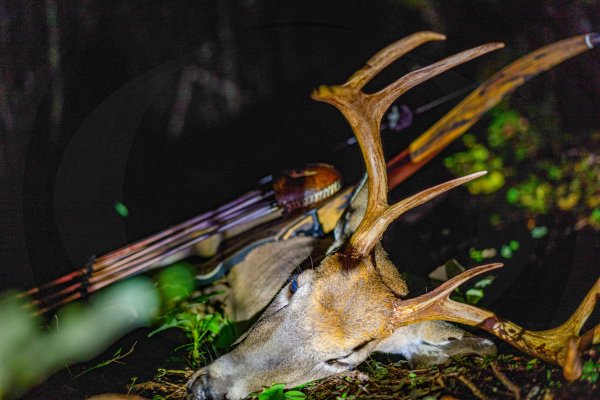 The Best Deer Hunting Gear of 2023