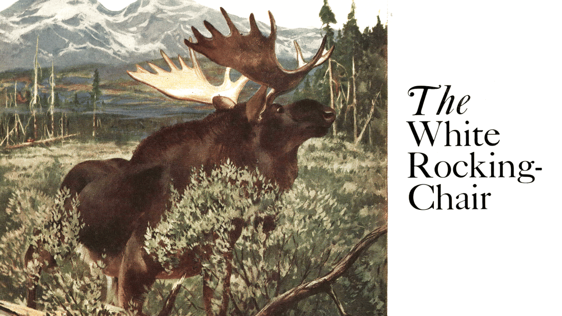 How Not to Kill a Moose, from the Archives | Outdoor Life