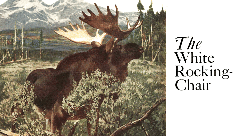 How Not to Kill a Moose, from the Archives | Outdoor Life