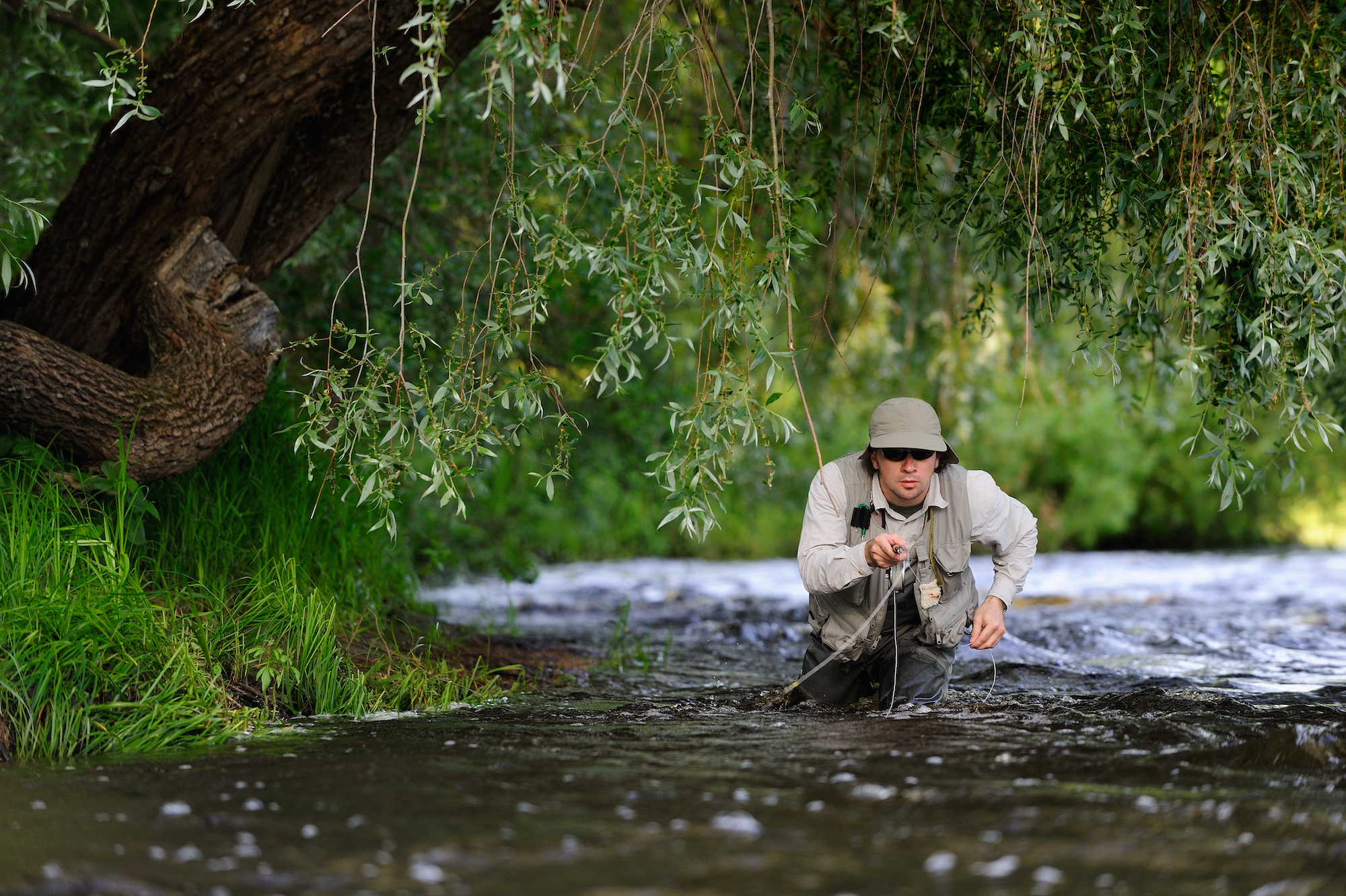 A Complete Guide to Fly Fishing