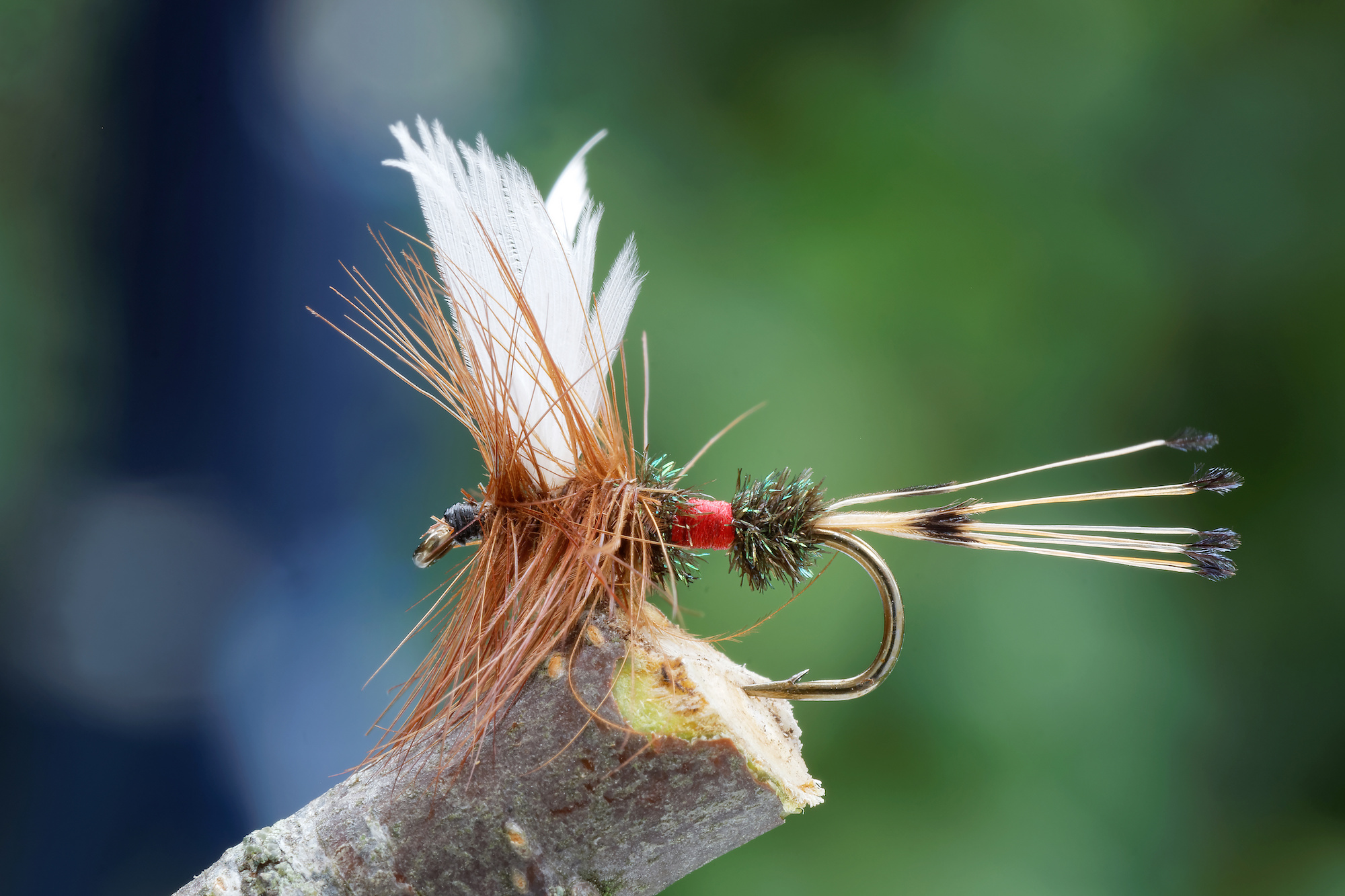 A Complete Guide to Fly Fishing
