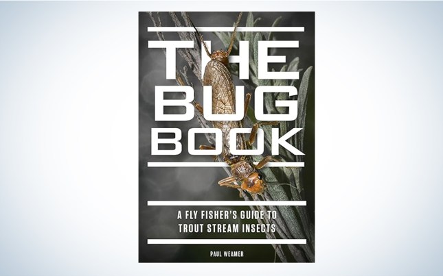 We read The Bug Book.