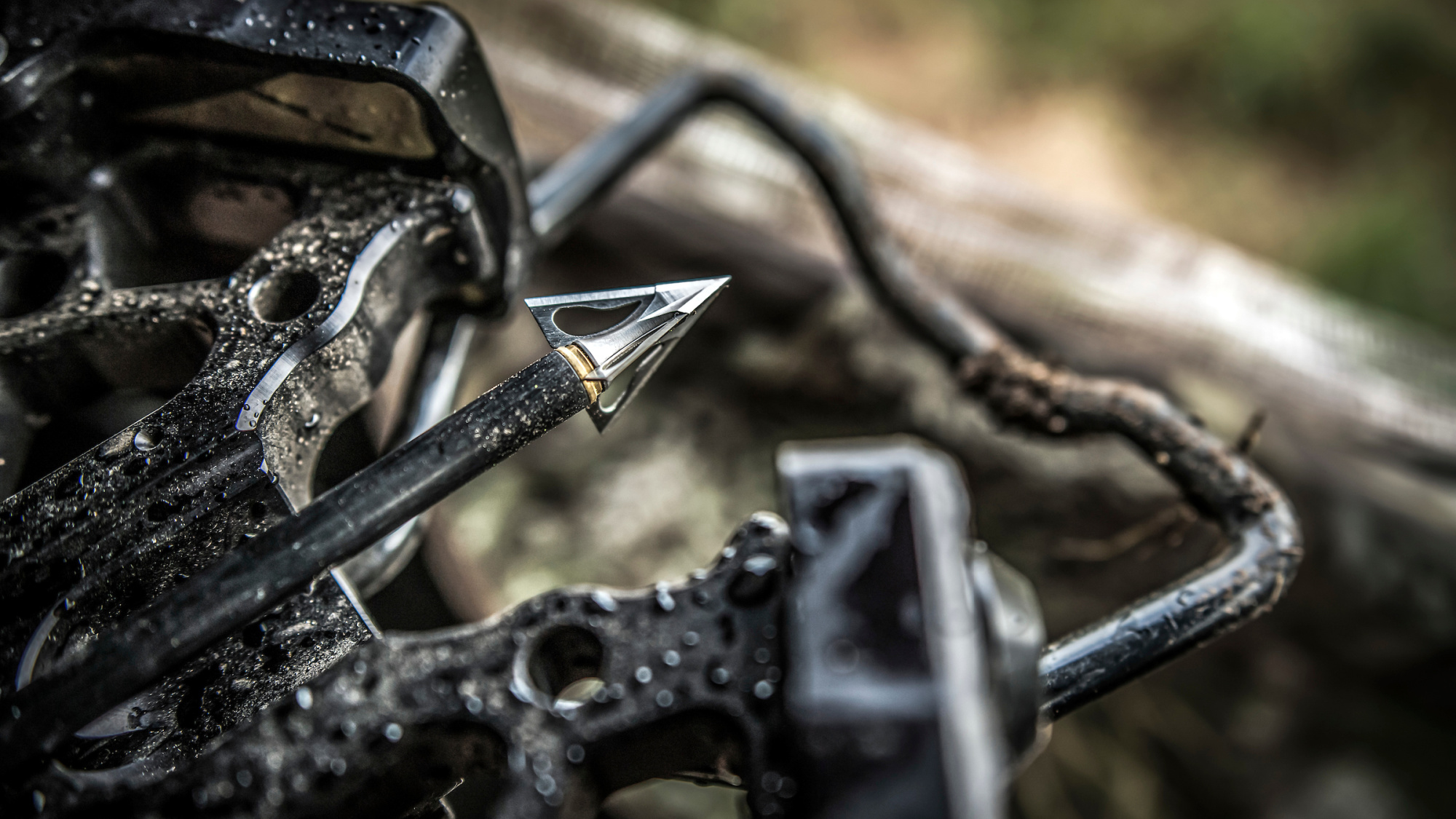 Crossbow Hunters Surge in First Week of Minnesota Archery Season