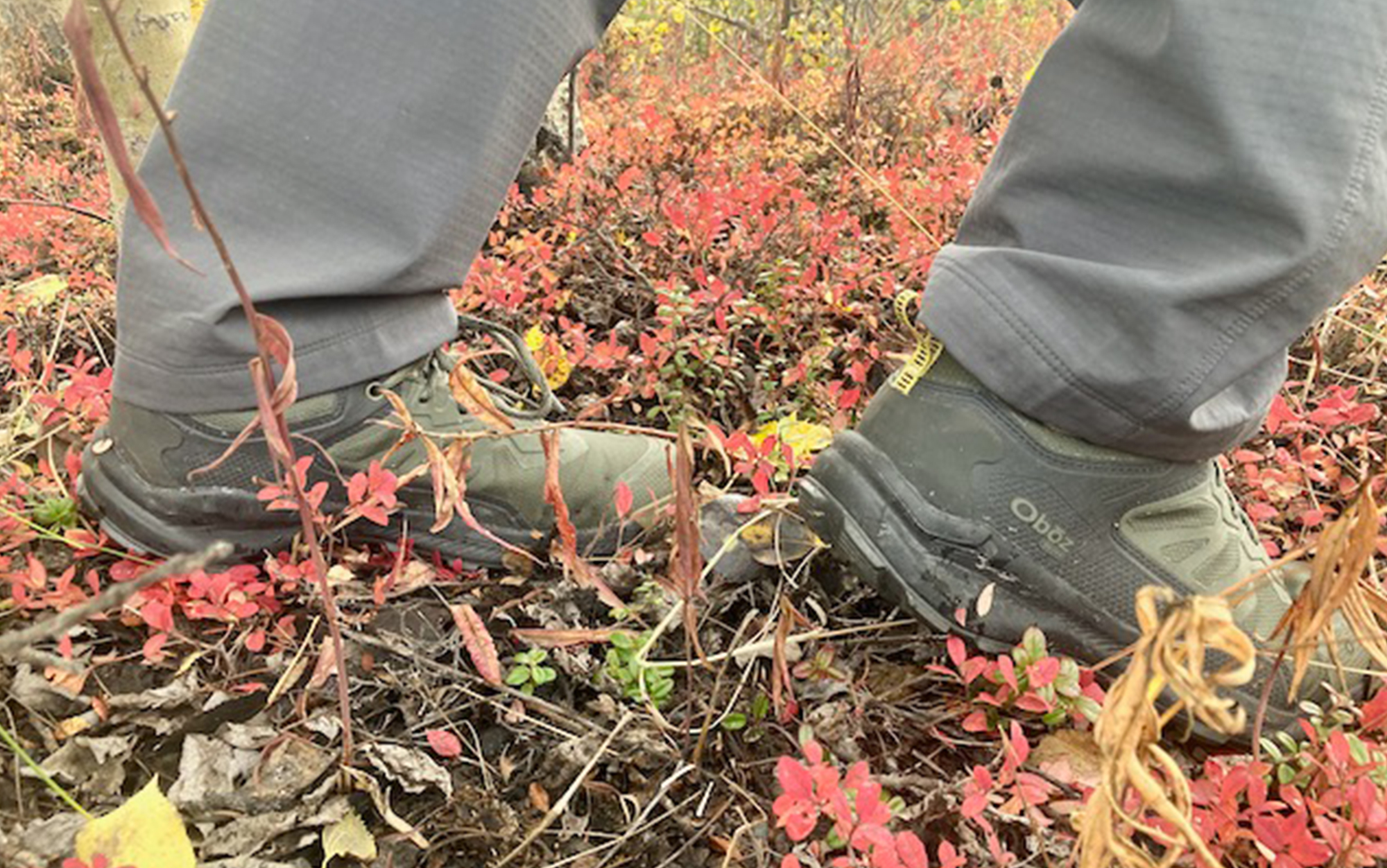 Author wears Oboz lightweight hiking shoes in fall leaves.