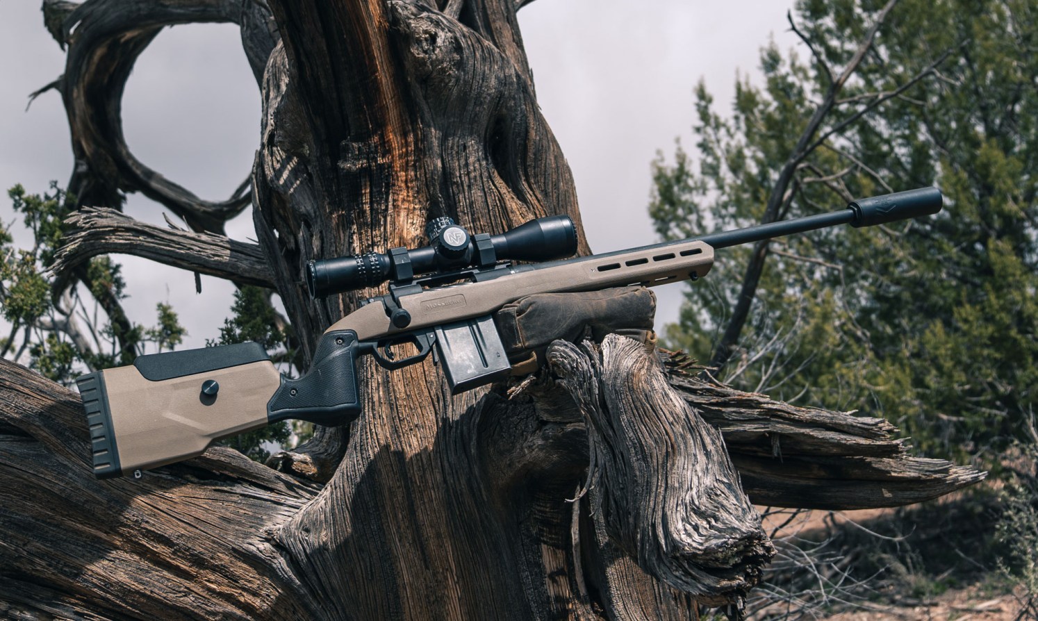 We tested the best 6.5 Creedmoor rifles and share our thoughts.