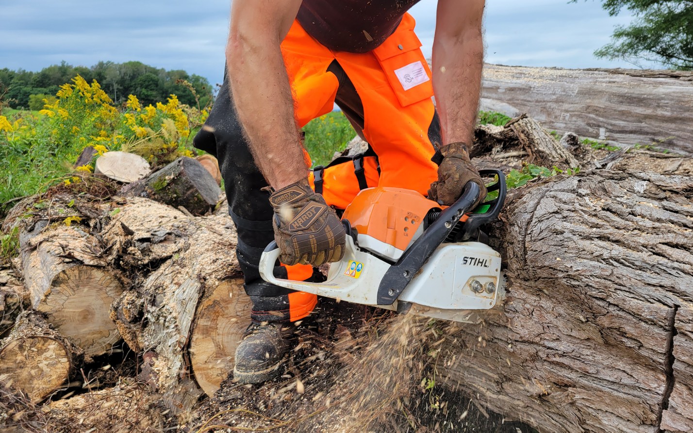 We tested the best chainsaw chaps.