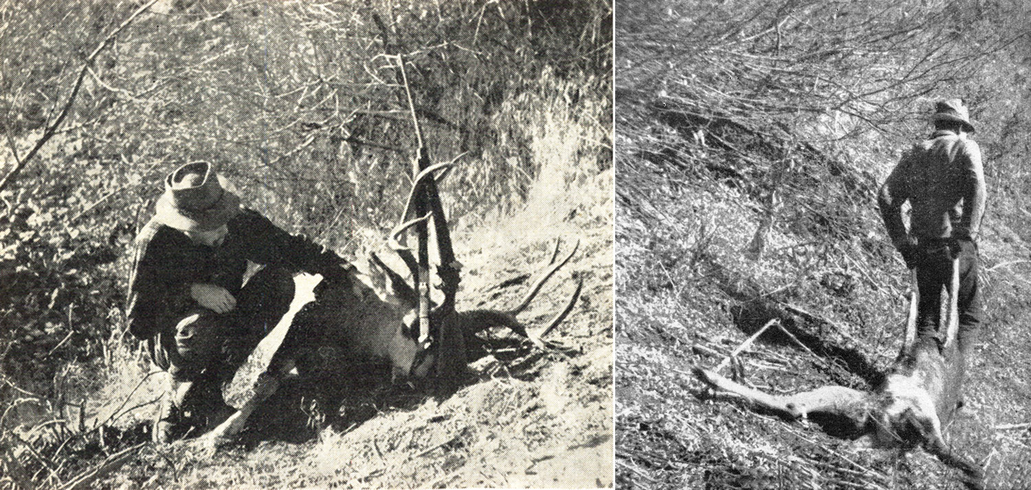 hunter bends down to inspect dead mule deer buck; second hunter drags doe back to camp