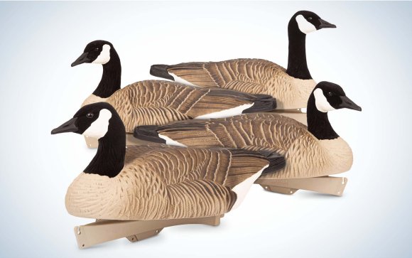 DSD Floater goose decoy