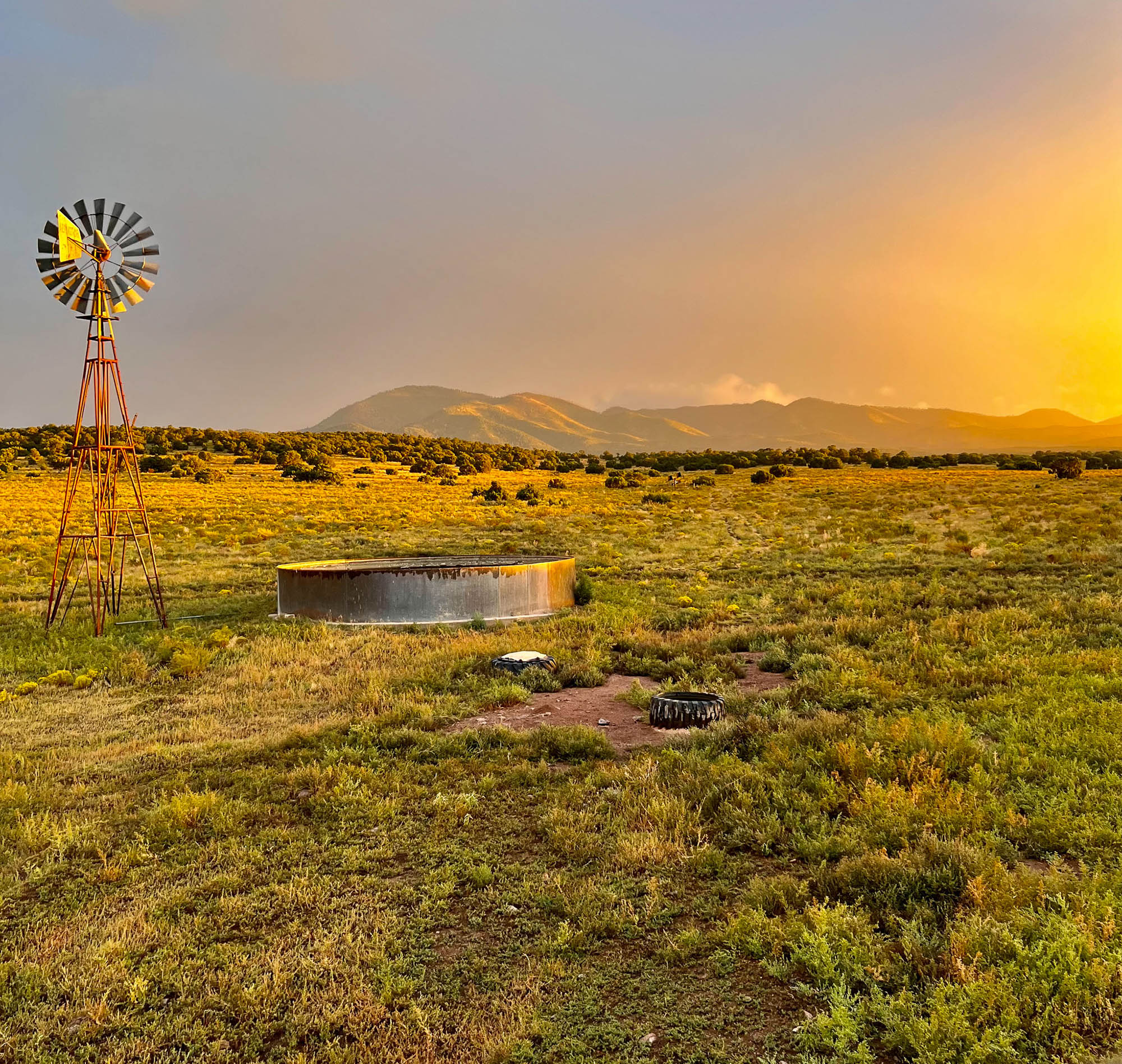 A sunny watering hole and windmill in new mexico.