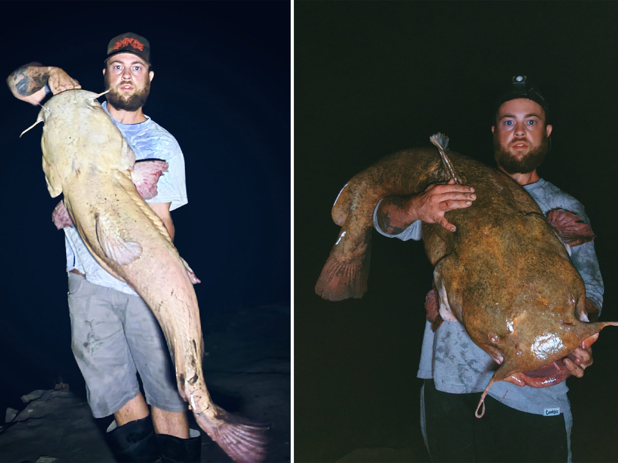 Angler Catches Giant Leucistic Catfish From a Small Creek