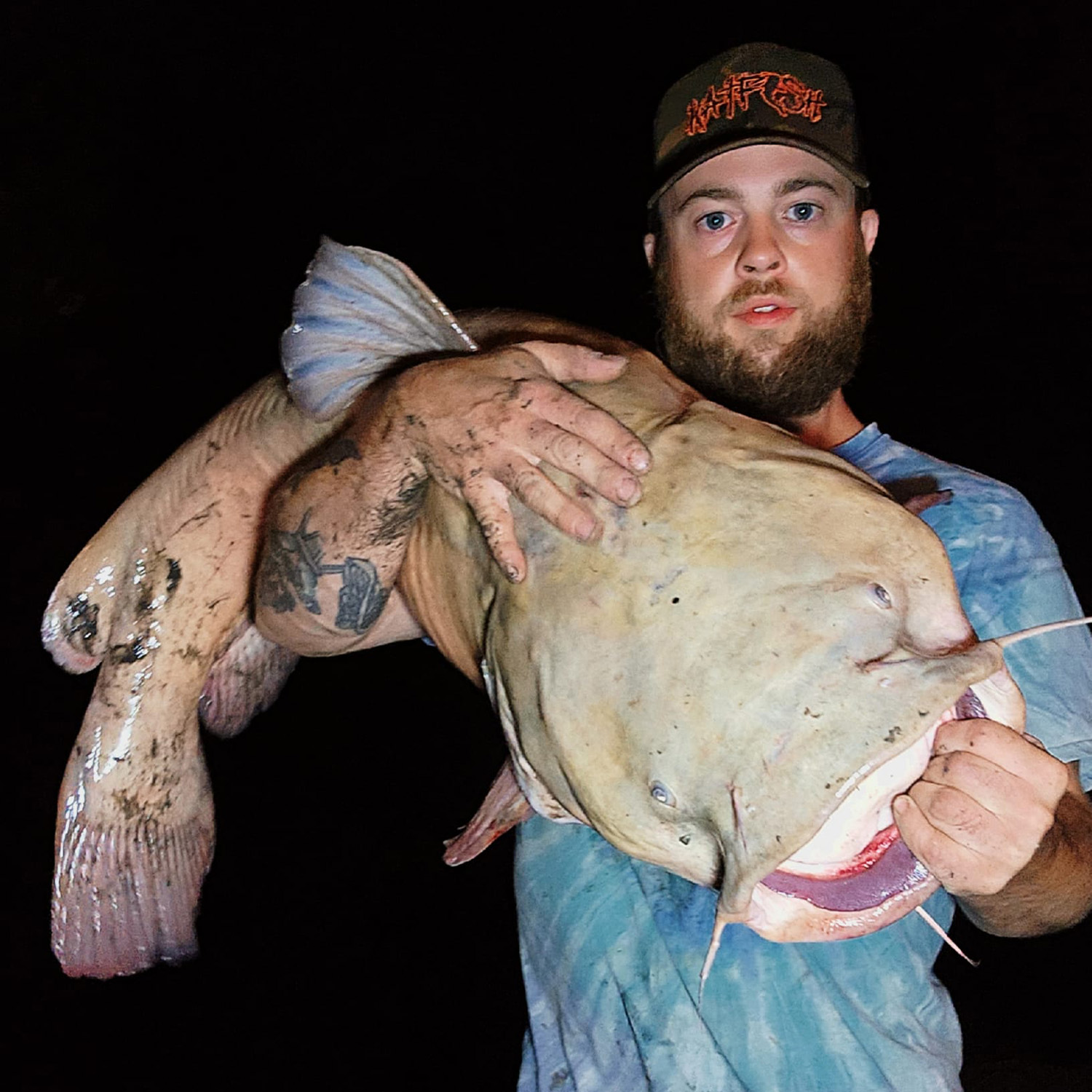 Angler Catches Giant Leucistic Catfish From a Small Creek Outdoor Life