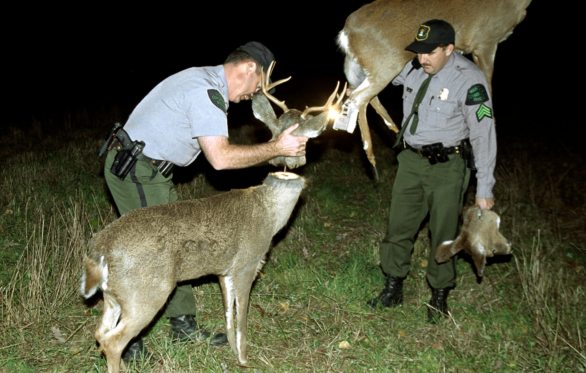 game wardens installing deer decoys