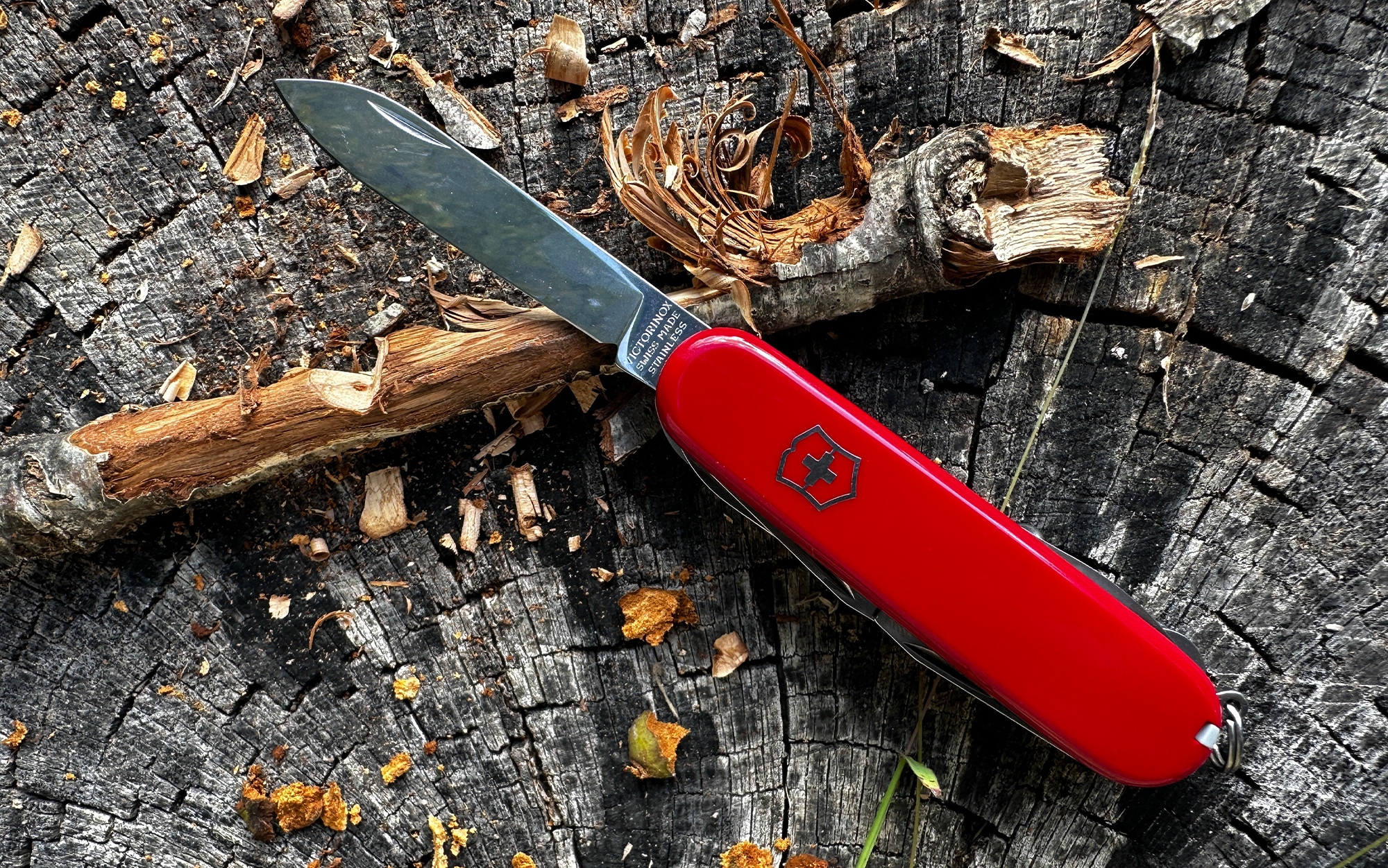 We tested the best Swiss army knives.