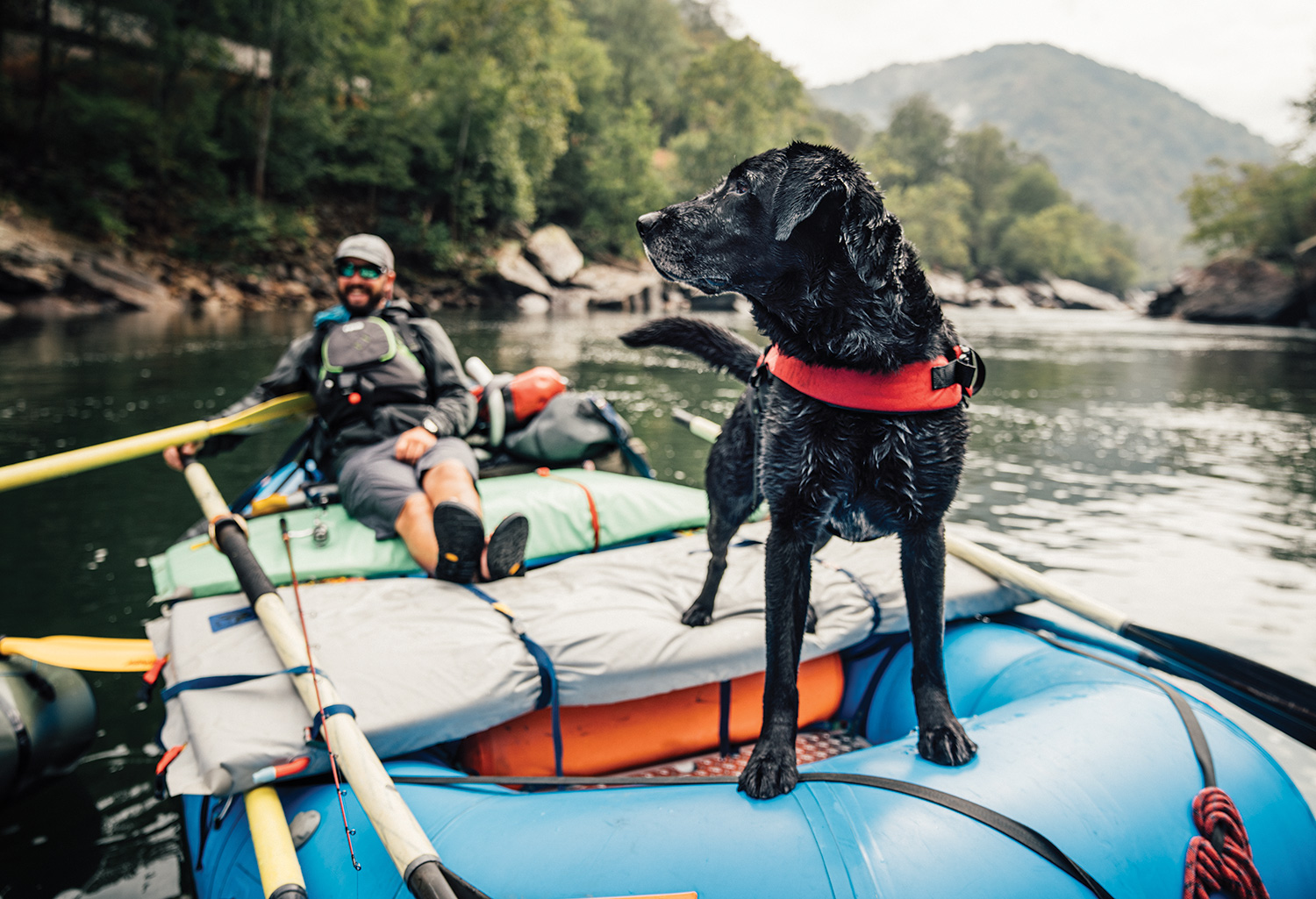 Black Lab wearing life vest stands at bow of raft while rafter relaxes in stern