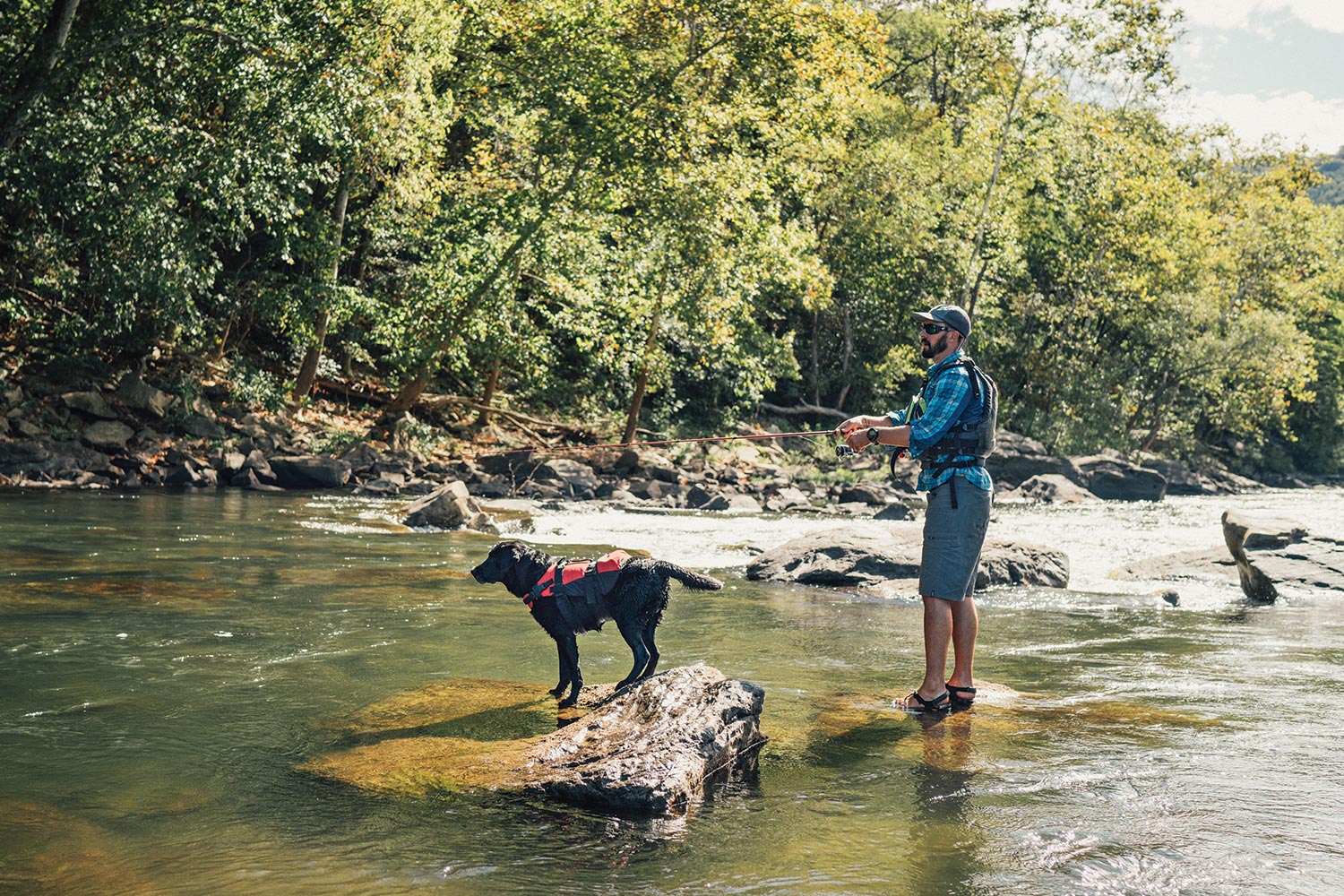 angler stands on rock and casts into shallow river; dog stands on rock in front of him