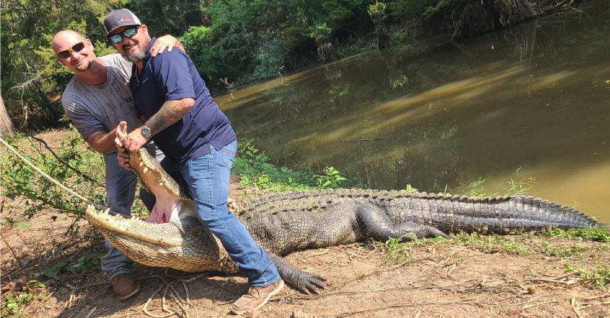 Texas Buddies Finally Tag 13-Foot Gator They've Been Hunting for 20 Years