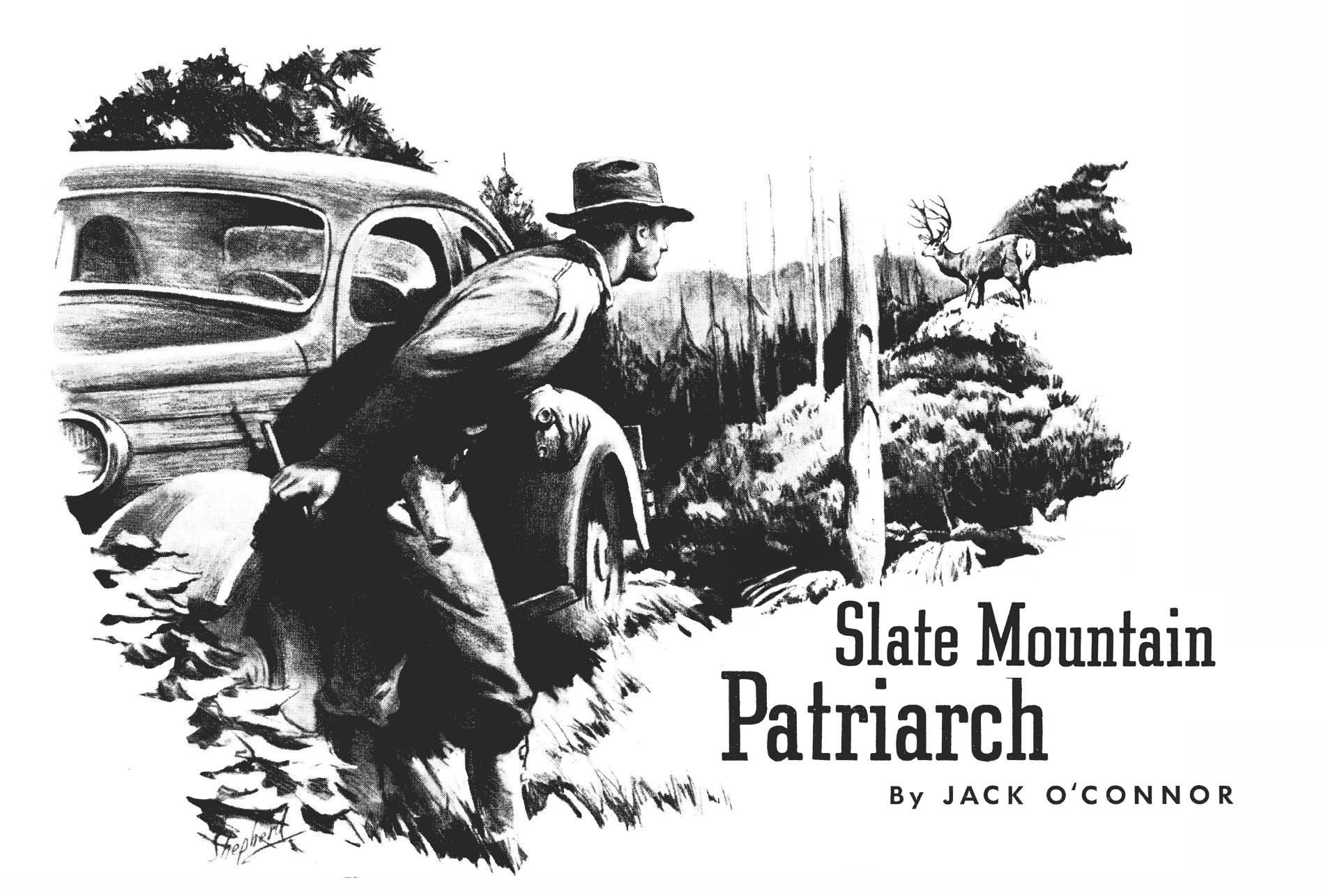 Jack O'Connor spots a giant mule deer in this black and white illustration.