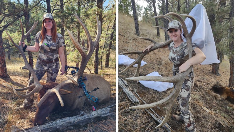 After Bowhunting for Five Years, Hunter's First Archery Kill Is a 7X7 Buzzerbeater Bull