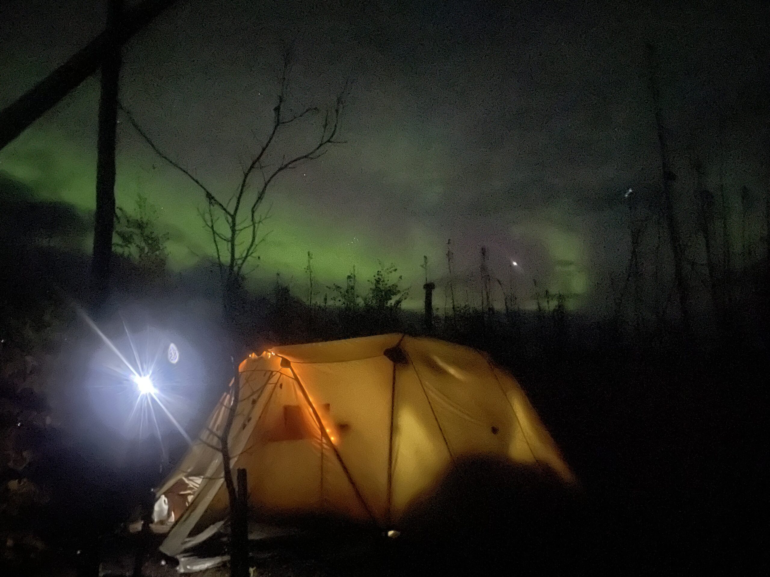 moose camp at night