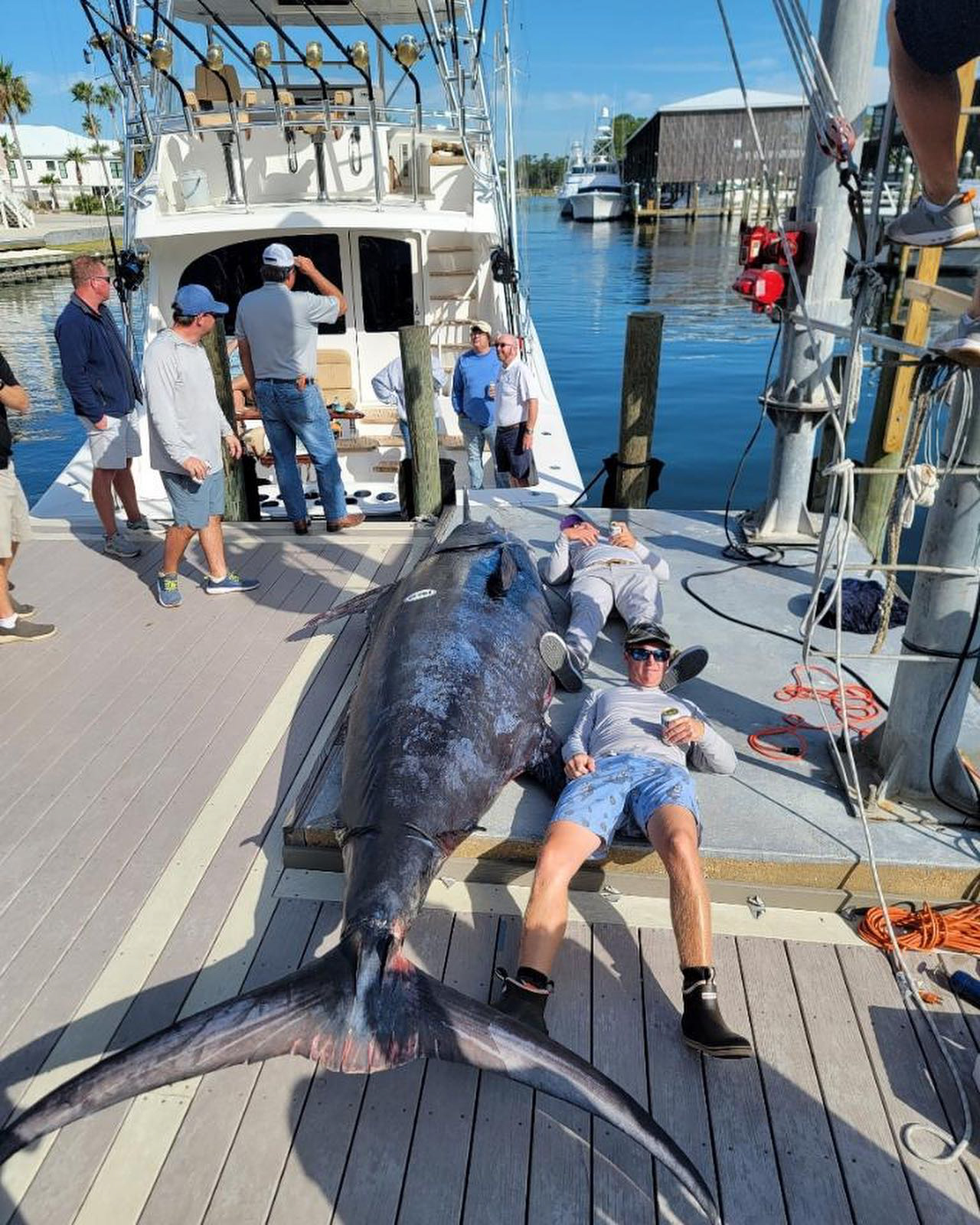 Man stretched out by big blue marlin.
