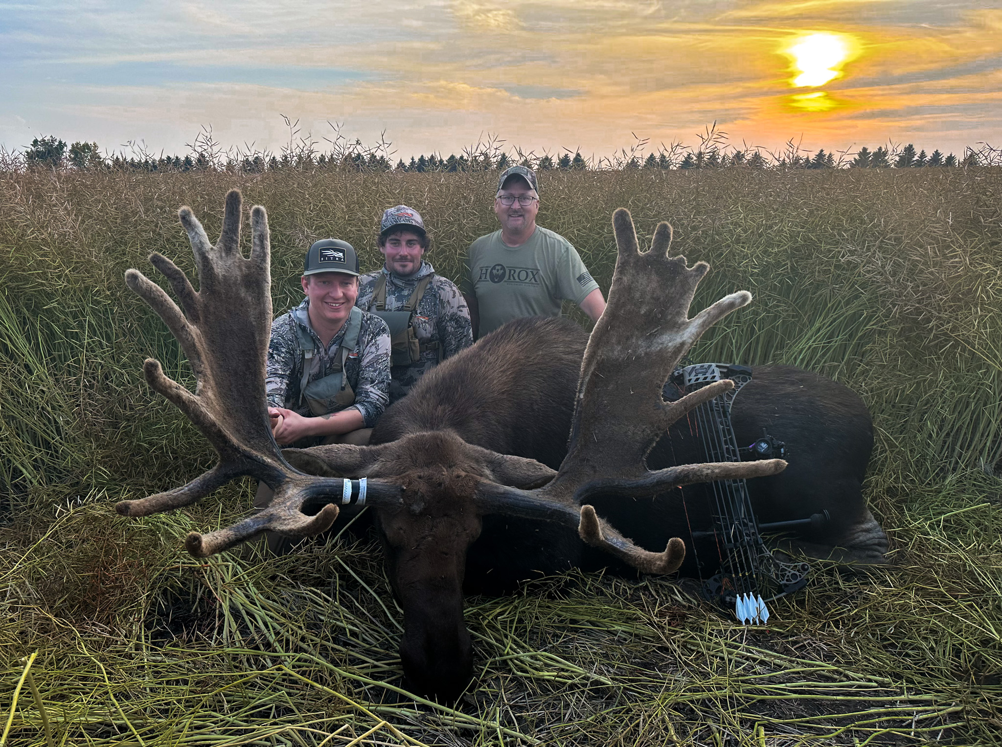 Three hunters sit behind a big North Dakota bull moose.