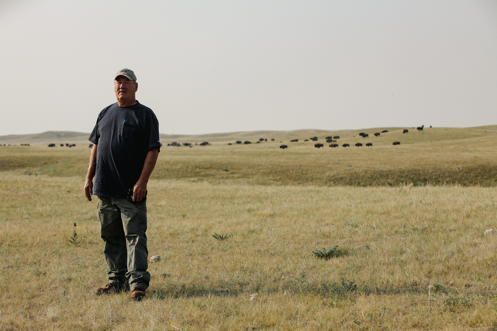 A man stands in the foreground with a herd of buffalo behind him.